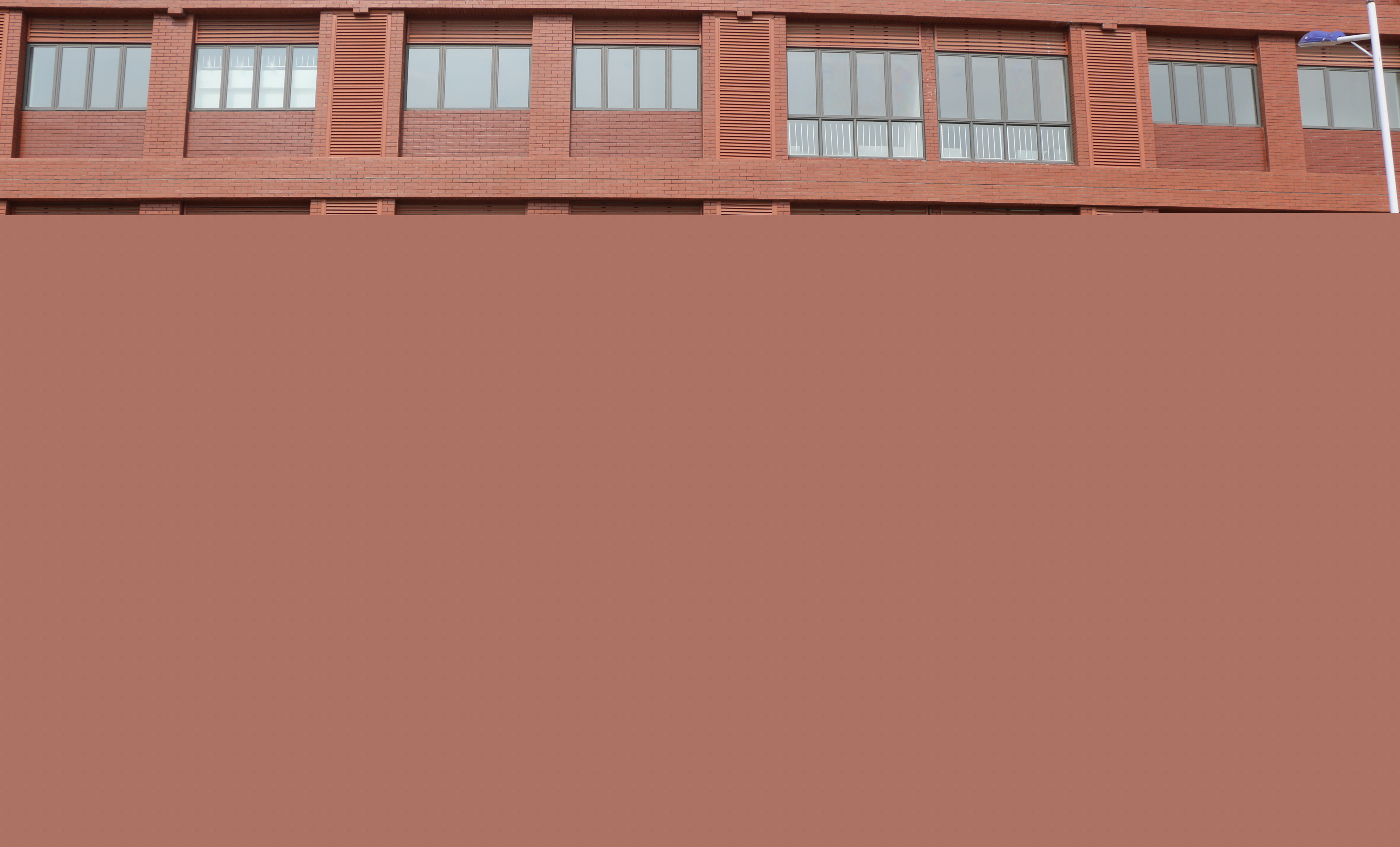 公司开展户外拓展活动