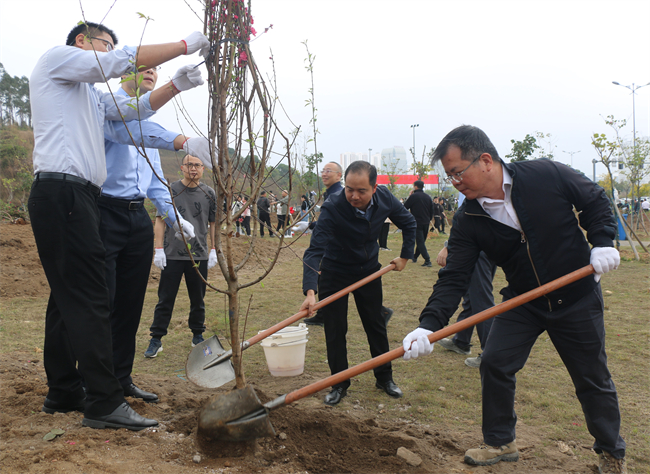 中马合资公司组织员工前往园区孔雀湾公园开展义务植树活动