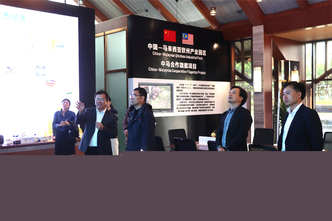八部智研考察中国—东盟（绿色棕榈产业）人...
